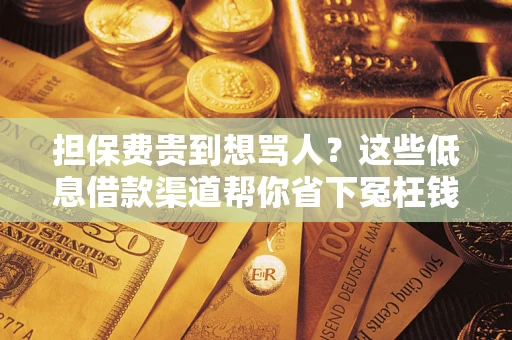 济南担保费贵到想骂人？这些低息借款渠道帮你省下冤枉钱