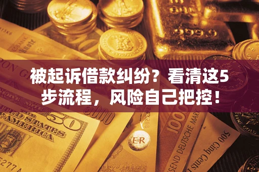 济南被起诉借款纠纷？看清这5步流程，风险自己把控！